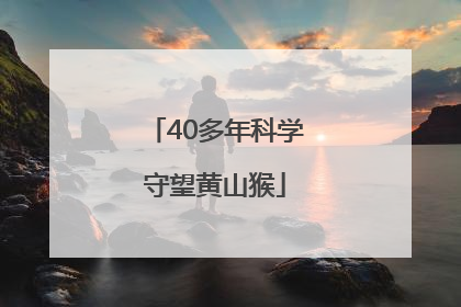 40多年科学守望黄山猴