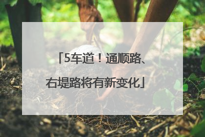 5车道！通顺路、右堤路将有新变化
