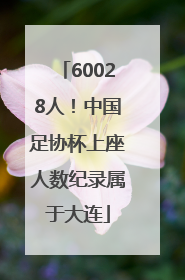 60028人！中国足协杯上座人数纪录属于大连