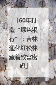 60年打造“绿色银行”：吉林通化红松林藏着致富密码