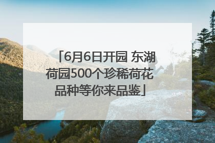 6月6日开园 东湖荷园500个珍稀荷花品种等你来品鉴
