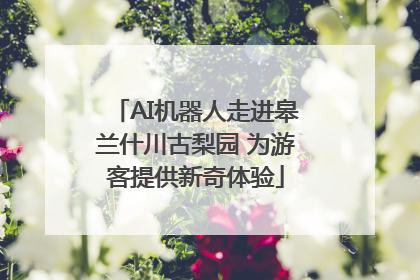 AI机器人走进皋兰什川古梨园 为游客提供新奇体验