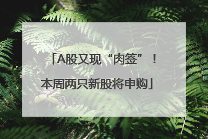 A股又现“肉签”！本周两只新股将申购
