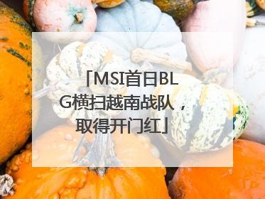 MSI首日BLG横扫越南战队，取得开门红